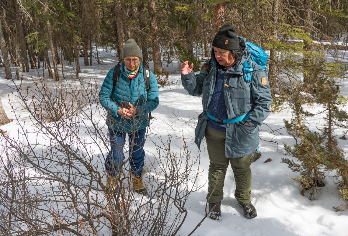 Brenda Holder of Mahikan Trails leads a Medicine Walk through the forest in Banff.