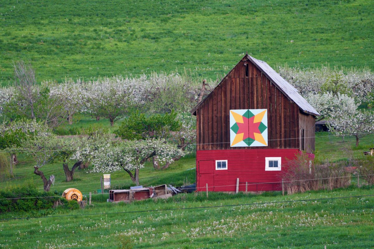 More than 50 barn quilts tell a story along the North Okanagan Shuswap Barn Quilt Trail 
