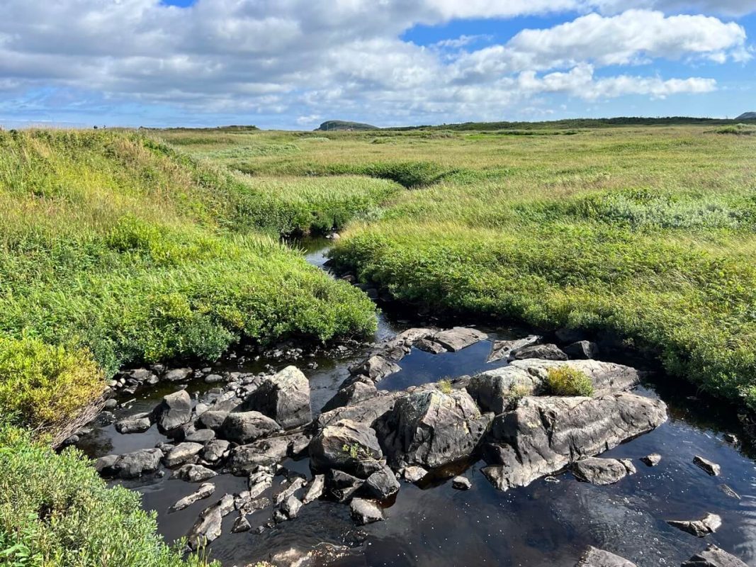 lanse-aux-meadows-national-historic-site