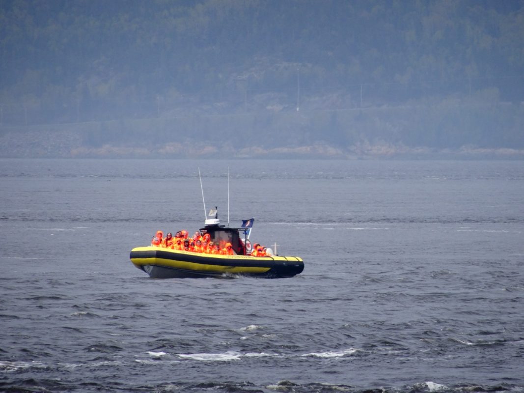 Whale Watching Lighthouse in Charlevoix