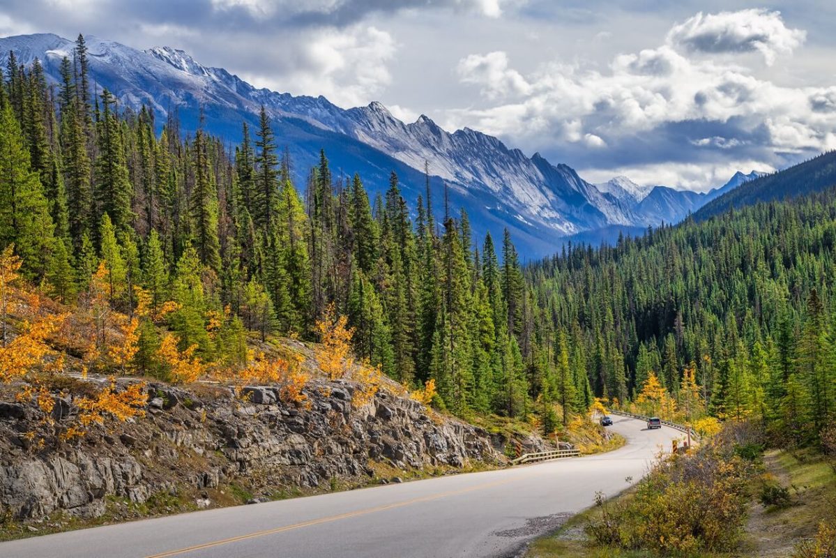 Maligne Lake Road in Jasper National Park.
