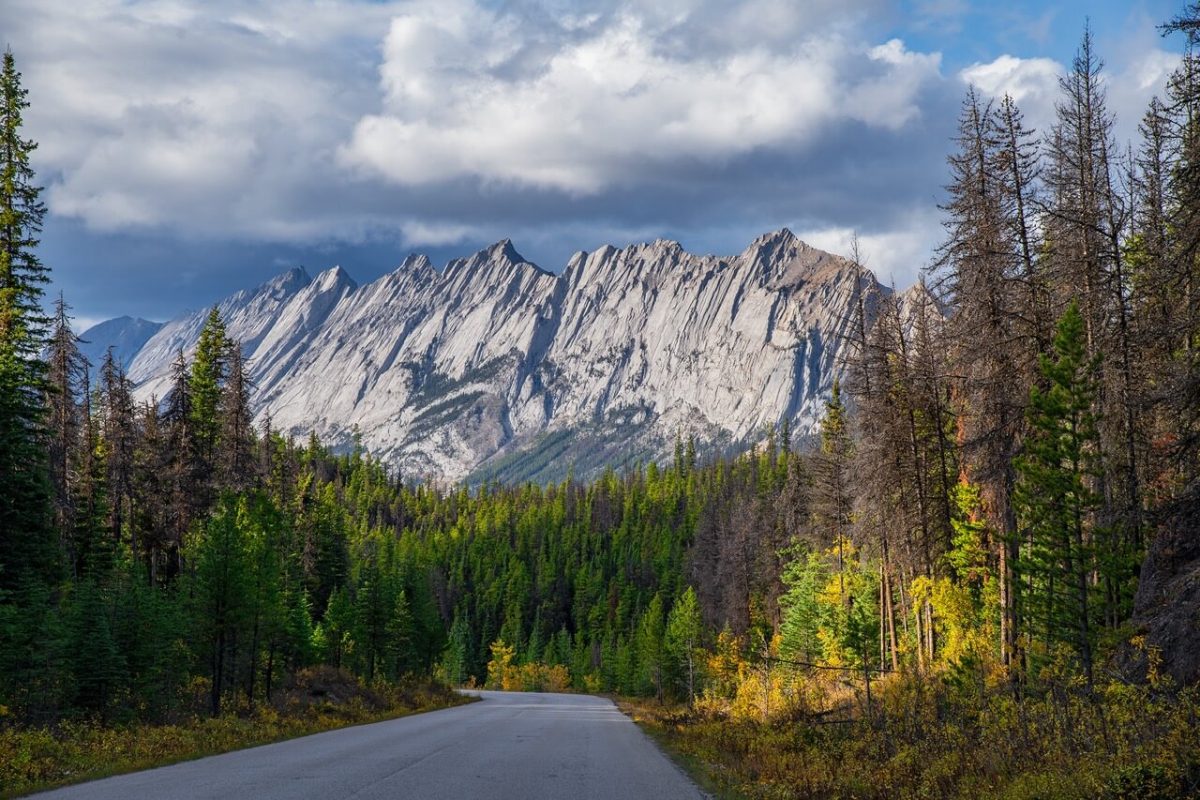 Maligne Lake Road, Alberta