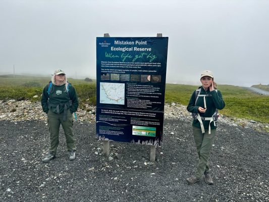 FUN FACTS ABOUT NEWFOUNDLAND AND LABRADOR visual data 4