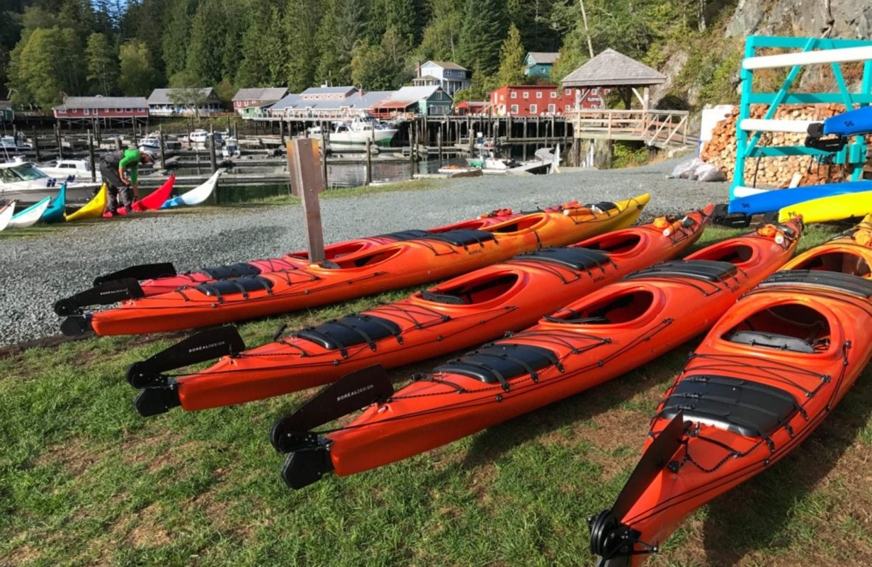 Canadian Whale Watching Afternoon Kayak Telegraph Cove