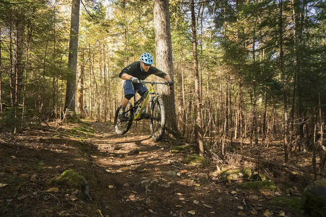 mountain bikers in Fundy National Park