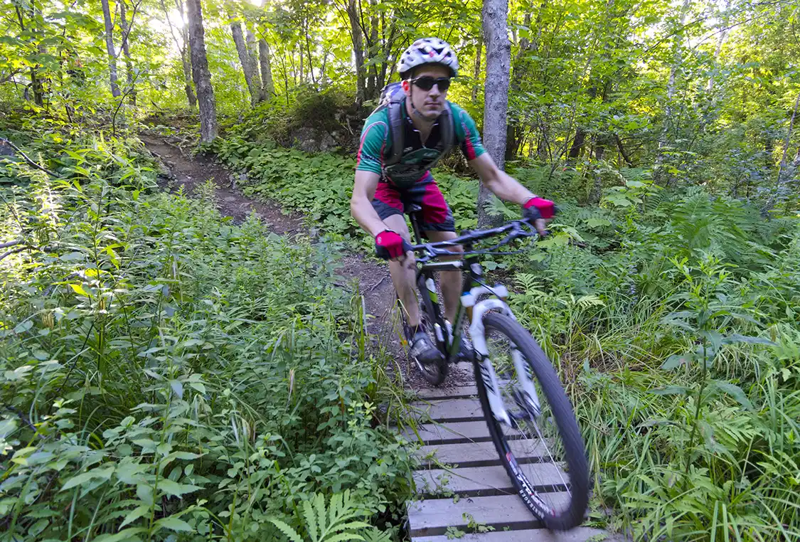 Mountain bikers on single track at Rockwood in Saint John2